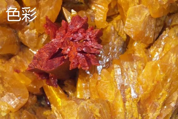 松香有哪些工业用途，可作成肥皂、油漆等