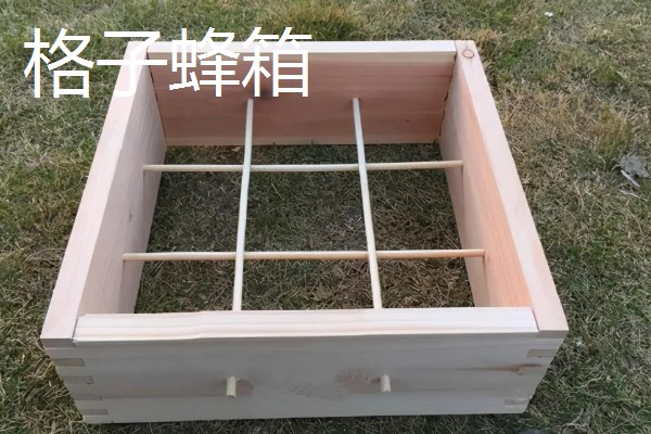 传统蜂箱的种类，有木桶蜂箱和格子蜂箱两种