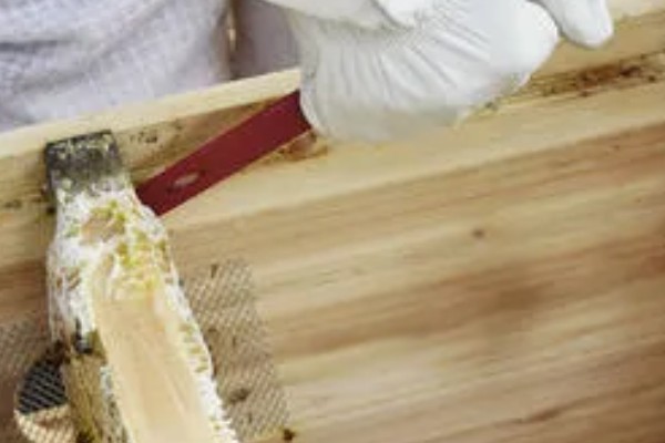 传统蜂箱的种类，有木桶蜂箱和格子蜂箱两种