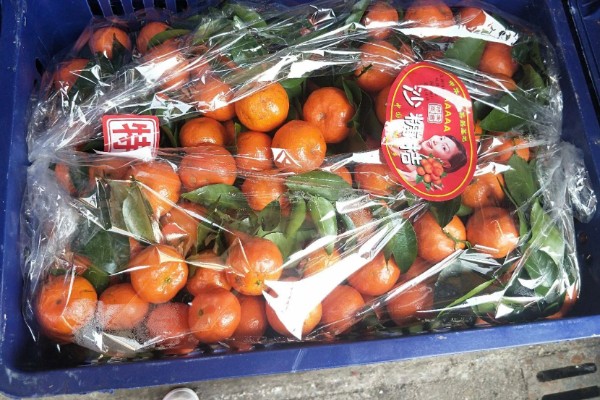 沙糖桔的存放时间,用冰箱冷藏可保存12-15天左右