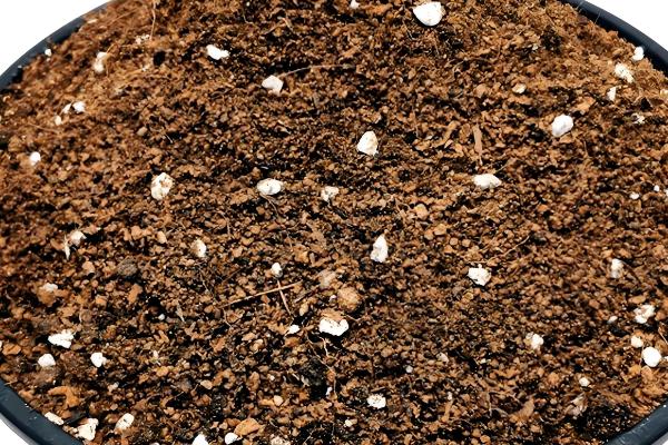 柠檬树适合用哪种土壤种植，以疏松肥沃、透气排水的土壤为宜