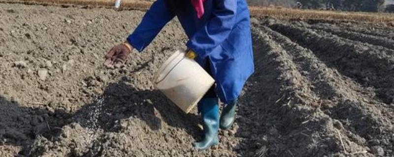 过度使用氮肥的坏处，会出现作物徒长、抗逆能力下降等问题