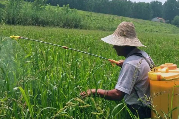 夏季使用农药的注意问题，要严格掌握施药量