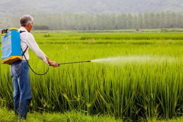 夏季使用农药的注意问题，要严格掌握施药量