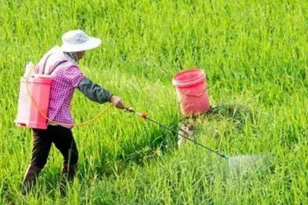 夏季使用农药的注意问题，要严格掌握施药量