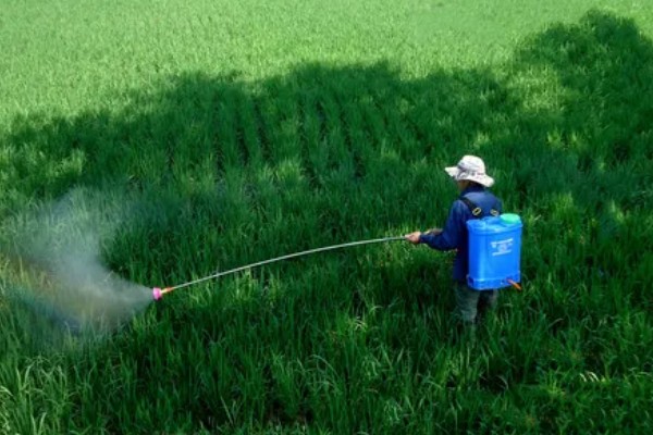 夏季使用农药的注意问题，要严格掌握施药量