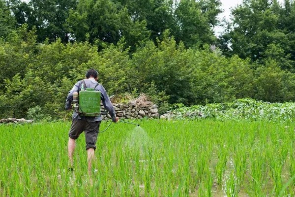 夏季使用农药的注意问题，要严格掌握施药量