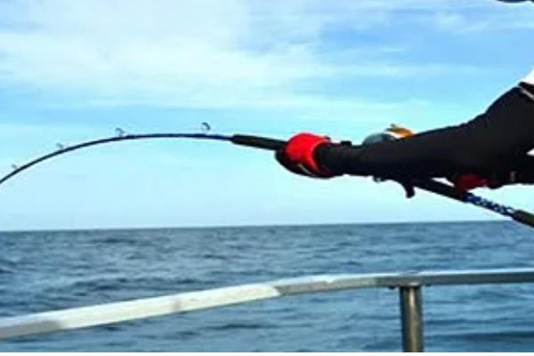 1.5号子线可以钓多重的鱼,适合垂钓4-5斤的鱼类