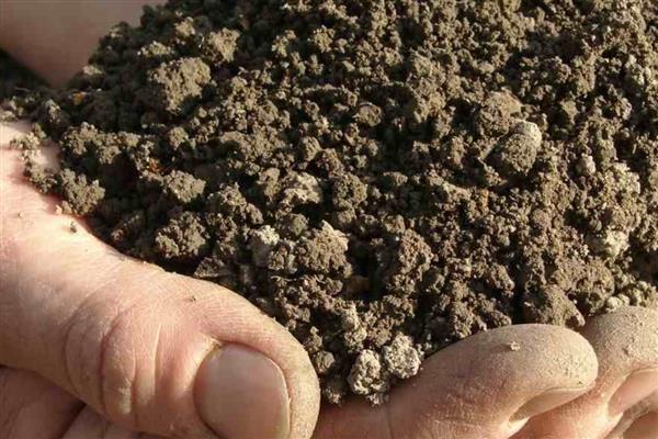 土壤中的腐殖质占有机质总量的多少，通常占有机质总量的50-70％