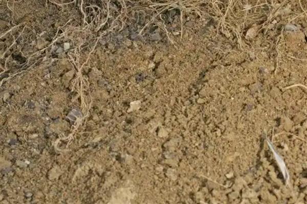 土壤中的腐殖质占有机质总量的多少，通常占有机质总量的50-70％