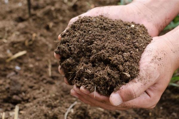 土壤中的腐殖质占有机质总量的多少，通常占有机质总量的50-70％