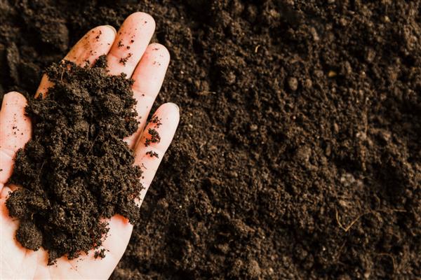 土壤中的腐殖质占有机质总量的多少，通常占有机质总量的50-70％