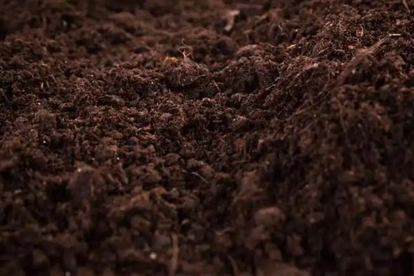 土壤中的腐殖质占有机质总量的多少，通常占有机质总量的50-70％