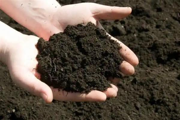 土壤中的腐殖质占有机质总量的多少，通常占有机质总量的50-70％