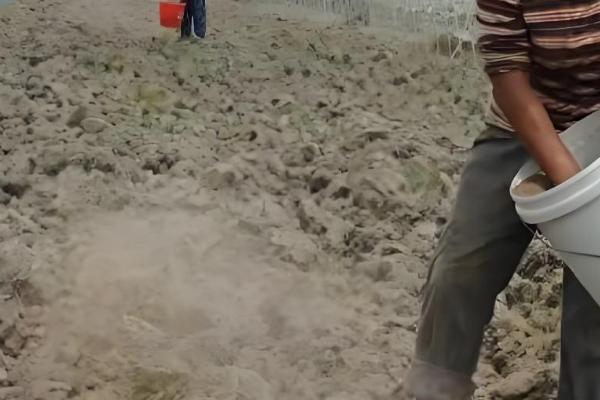 过度使用氮肥的坏处，会出现作物徒长、抗逆能力下降等问题