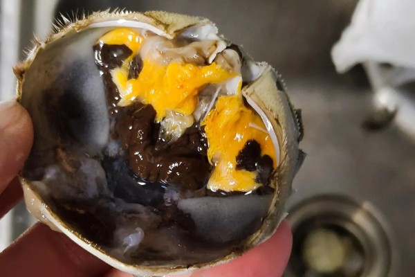 母蟹和公蟹如何区分,外形和蟹黄均不同