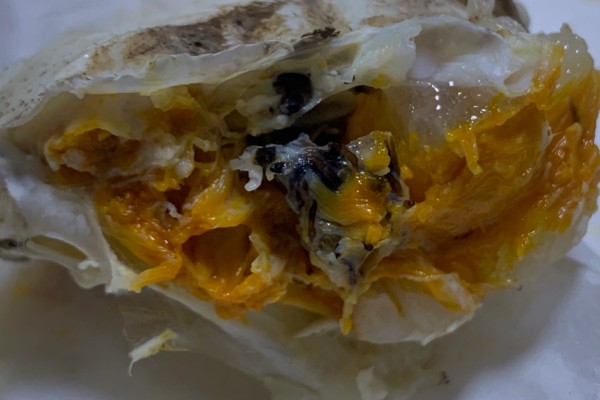 母蟹和公蟹如何区分,外形和蟹黄均不同