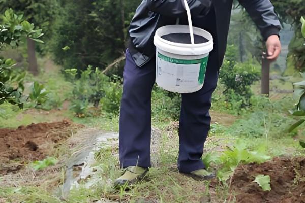 脐橙的施肥技巧,主要有以下6种方式