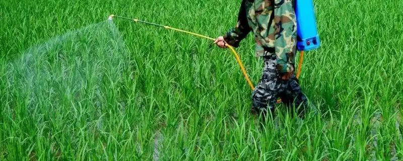 莎稗磷与丙草胺有什么区别，性状、使用方式、防治对象不同