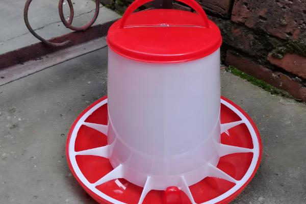 新手养鸡要准备哪些用具，鸡笼、饮水和喂料用具都要备好