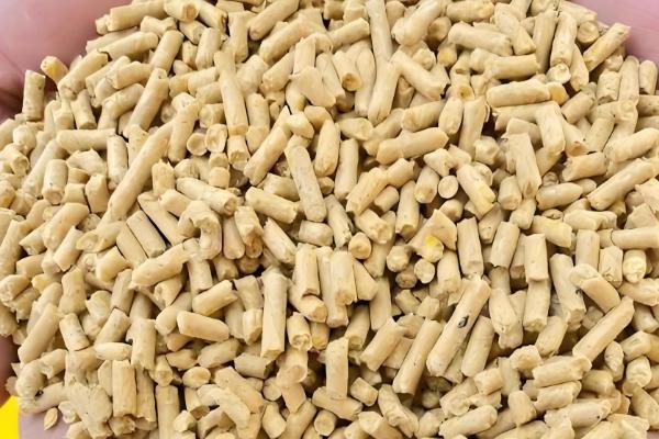 新手养鸡要准备哪些用具，鸡笼、饮水和喂料用具都要备好