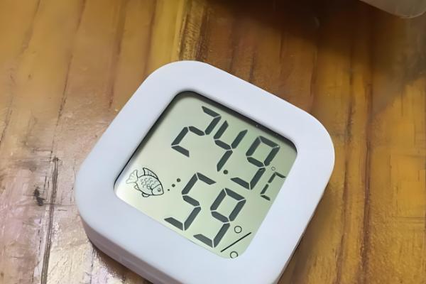 新手养鸡要准备哪些用具，鸡笼、饮水和喂料用具都要备好