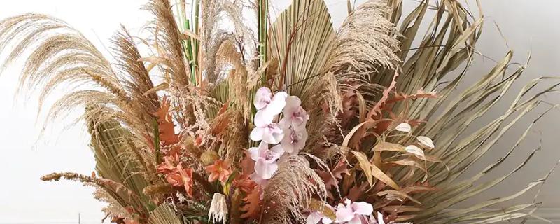 干芦苇放在客厅要注意什么，每天接受不低于4小时光照