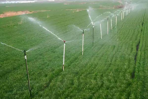 小麦的播种和收割时间，春小麦在3-4月份播种、7月份收获