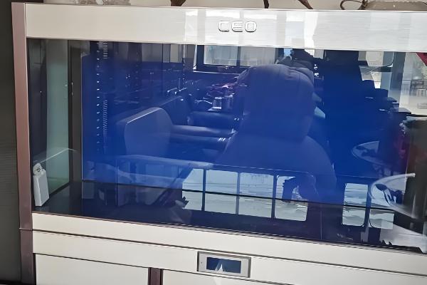 新鱼缸养水几天再养鱼，一般需要6-9天