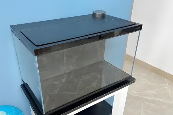 新鱼缸养水几天再养鱼，一般需要6-9天