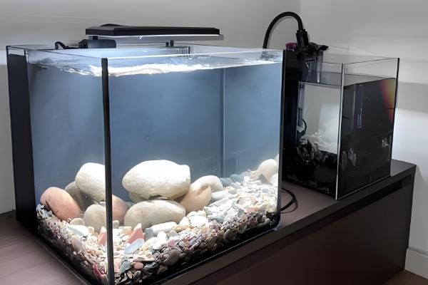 新鱼缸养水几天再养鱼，一般需要6-9天