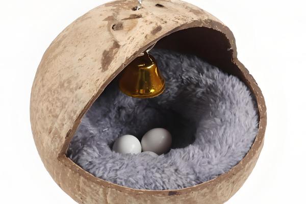 椰子壳能不能当作鹦鹉的繁殖窝，弊端太多不适合使用