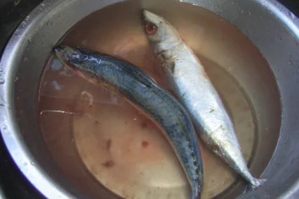青占鱼有毒如何去毒，无法去毒但可以防止中毒