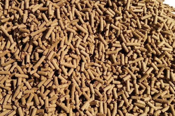 怎么配制黄鳝的饲料,一般用畜禽下脚料、麦麸等原料配制