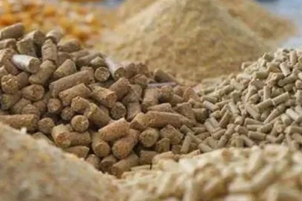 怎么配制黄鳝的饲料,一般用畜禽下脚料、麦麸等原料配制