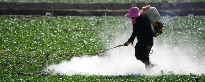 抑食肼的特点,对害虫以胃毒作用为主