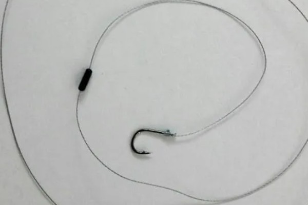 长吻鮠的简介，属于鲿科、鮠属鱼类