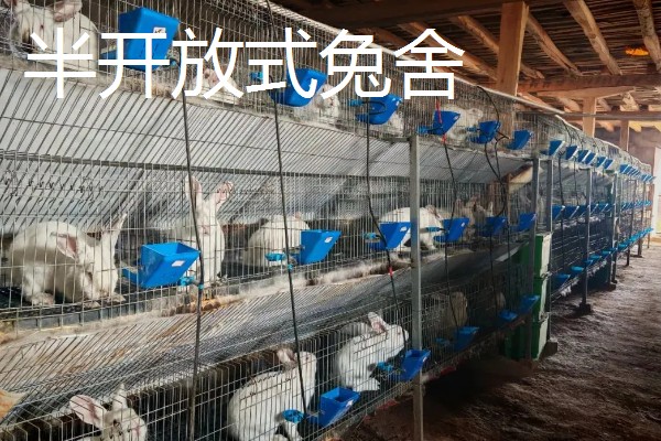 獭兔的防疫管理方法，首先要保持笼舍的干净