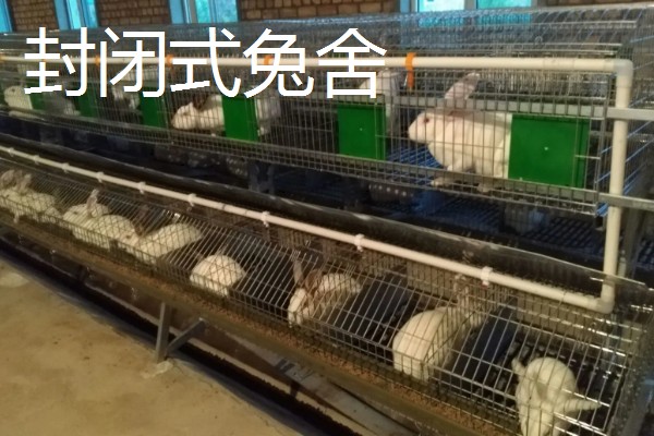 獭兔的防疫管理方法，首先要保持笼舍的干净