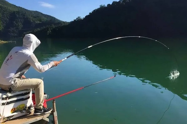 长吻鮠的简介，属于鲿科、鮠属鱼类