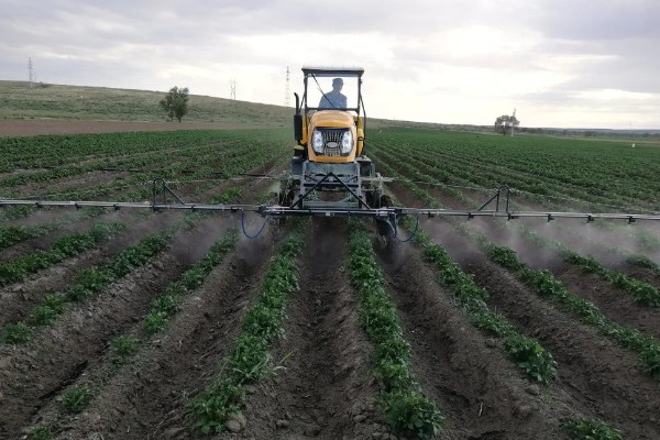 冬马铃薯怎么防寒，使用热性肥料可以提高地温