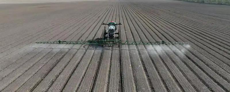 黄豆苗前封闭用哪些药，推荐乙草胺、氯嘧磺隆等