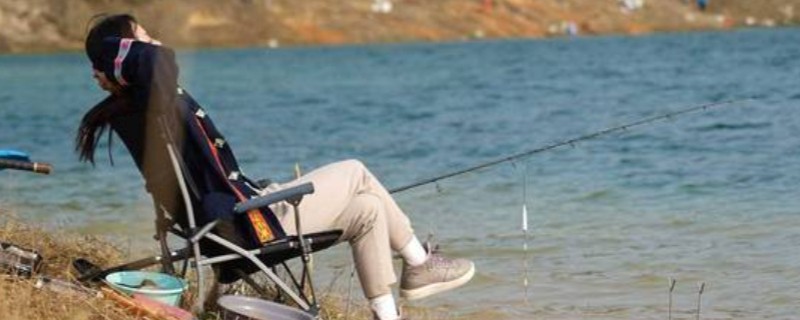 泥鳅怎样打窝不跑，放在白酒里浸泡十几分钟