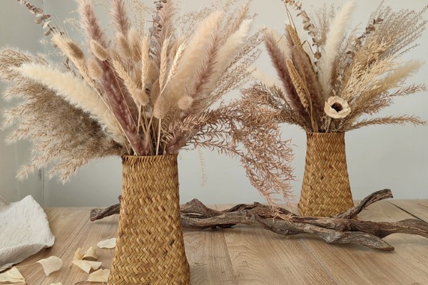 干芦苇放在客厅要注意什么，每天接受不低于4小时光照