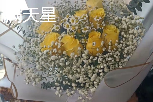 黄玫瑰的花语,寓意美好的友情、逝去的爱等