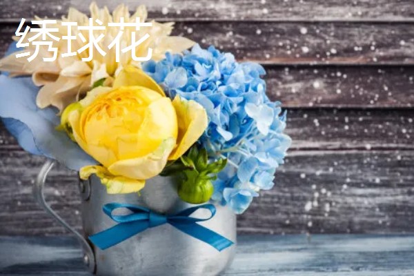 黄玫瑰的花语,寓意美好的友情、逝去的爱等