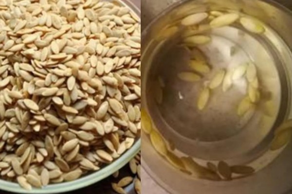 甜瓜的播种方法,催芽后每个营养钵播种2粒