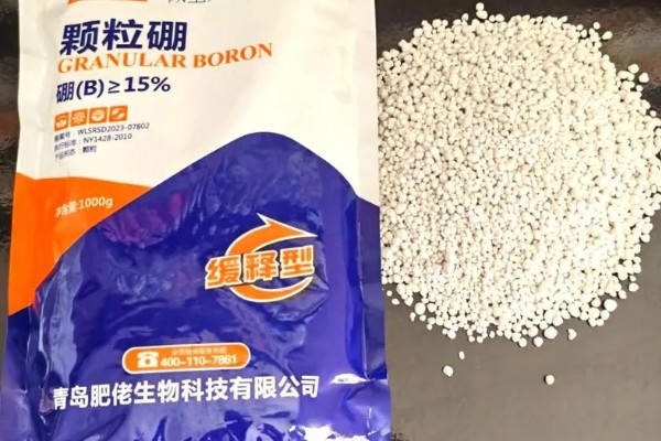 硼肥的作用，能起到促进根系生长和果实膨大等效果