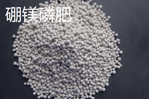 硼肥的作用，能起到促进根系生长和果实膨大等效果