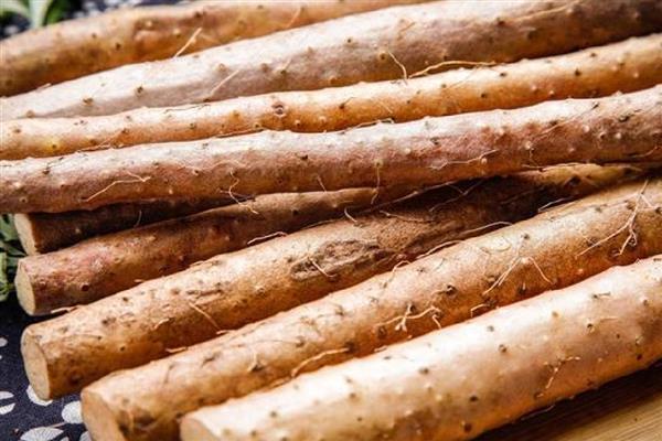 块根和块茎有什么区别，块根呈块状或纺锤状、块茎呈不规则的块状